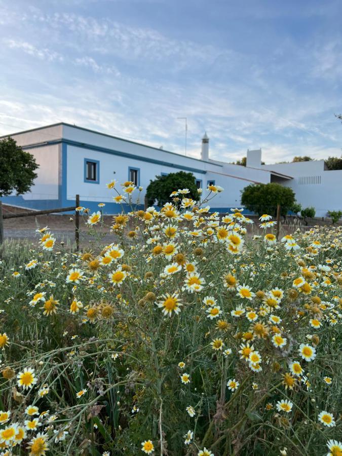 Monte Novo - Country House Villa Monsaraz Exteriör bild
