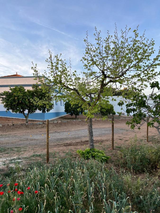 Monte Novo - Country House Villa Monsaraz Exteriör bild